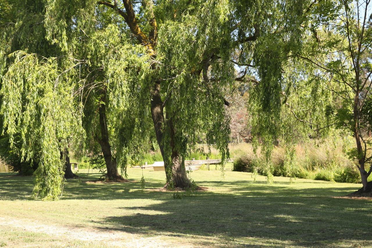 Little Lake Cottage Nyora Δωμάτιο φωτογραφία