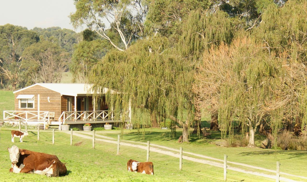 Little Lake Cottage Nyora Εξωτερικό φωτογραφία